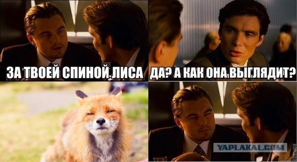 Популярные мемы на ЯПе