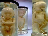 Кто крышует голодрандов?