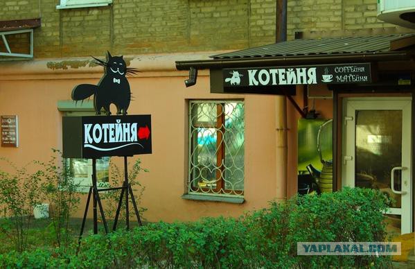 Веселые картинки