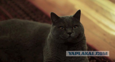 Вот и поговорили