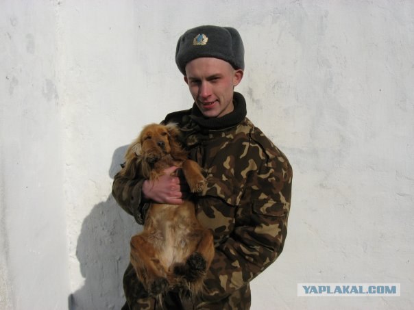 А как ты защищал Отечество?