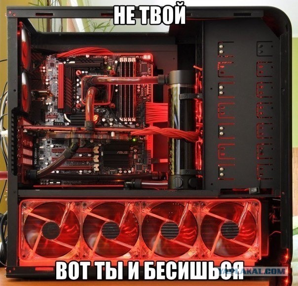 Забавные картинки из интернетов