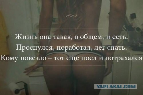 Забавные картинки.