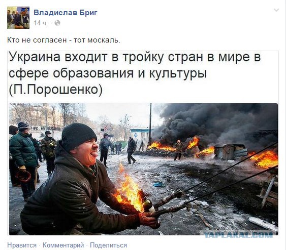 Политическая солянка #2