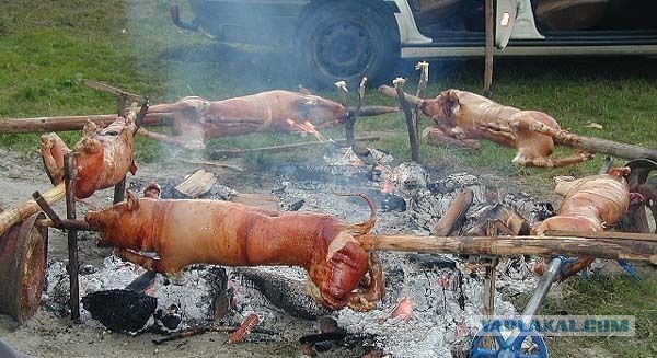 Свинина по сербски