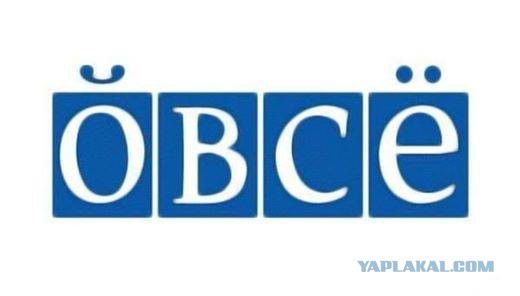 ОБСЕ готово рассказать как ВСУ обстреливали мирных