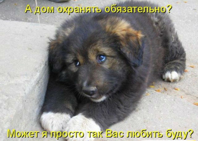 Забавные картинки из Сети