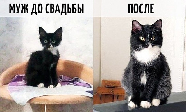 Прикольные картинки