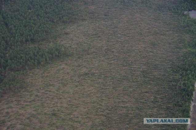 Неведомую хрень нашли под Челябинском