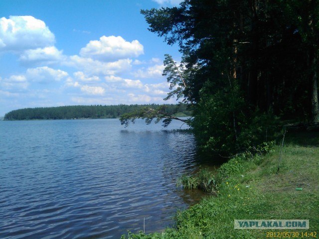 Небольшая дверь в Лето!