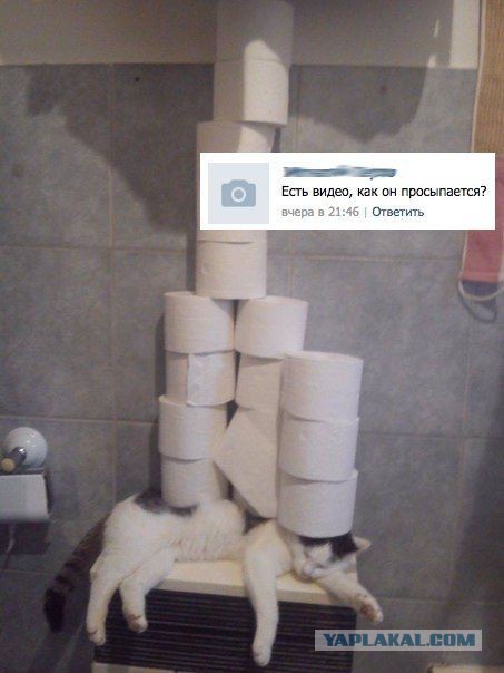 Картинки, фото и др..