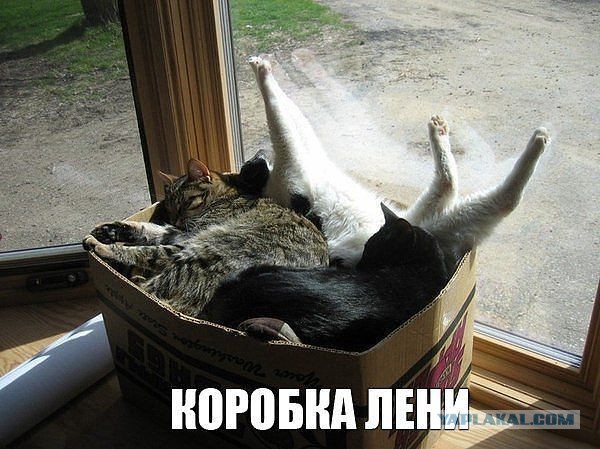 Подборка приколов на пятницу