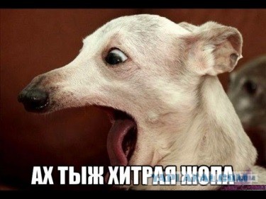 «Пешком до Шереметьево»: чем обернулся ввод платы