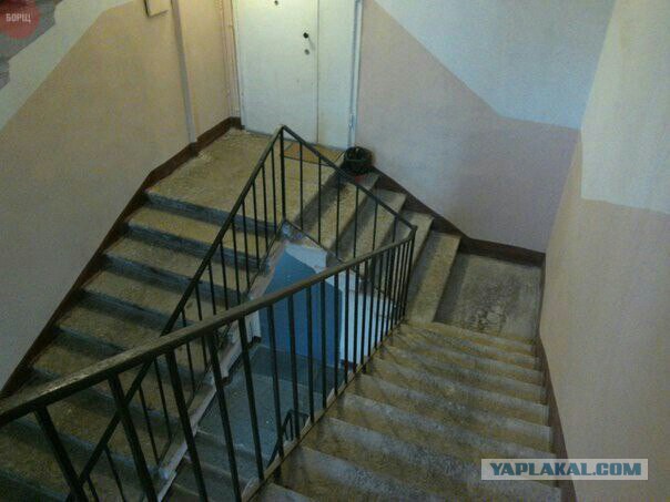 Подборка забавных картинок