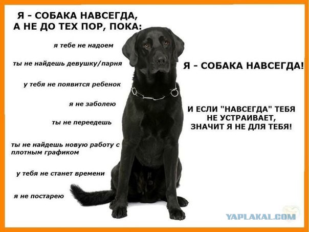 Предам в связи с рождением ребёнка