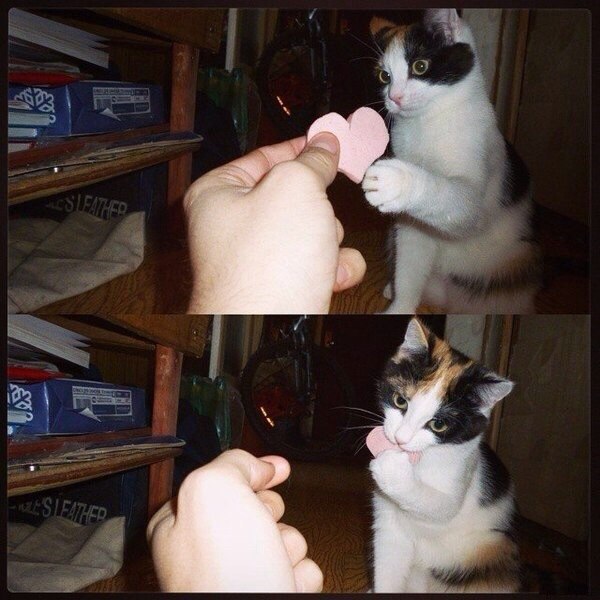 Нужен ли нам День Святого Валентина?