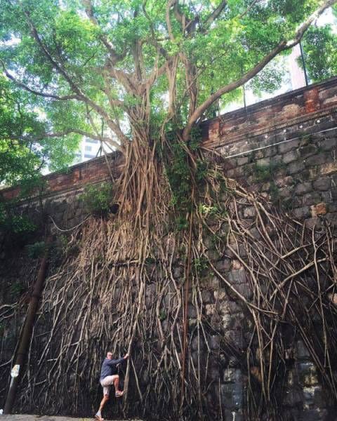 Подборка интересных и веселых картинок