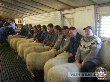 WTF: Что тут происходит?