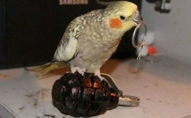 Подборка интересных и веселых картинок