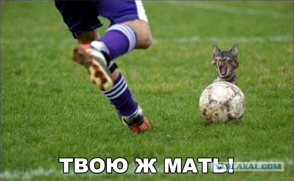 Удачный кадр