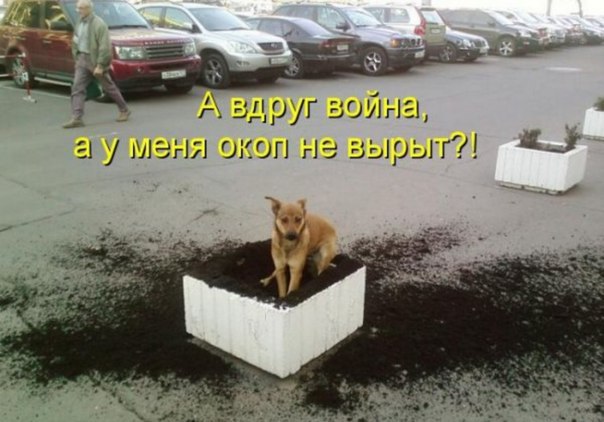 Мохнатые беспредельщики