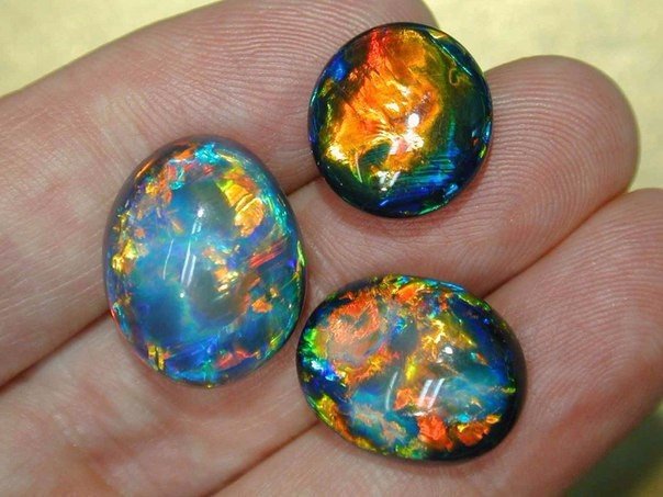 Картинки из сети