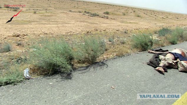 Глазами очевидца: Сирийская армия наступает на Ракку