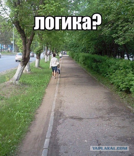 Подборка смешных картинок с надписями