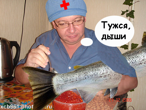 Фотожаба: Правильное питание для кота