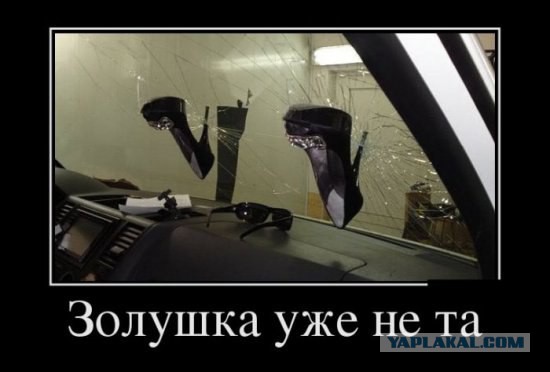 Подборка веселых картинок с тырнета