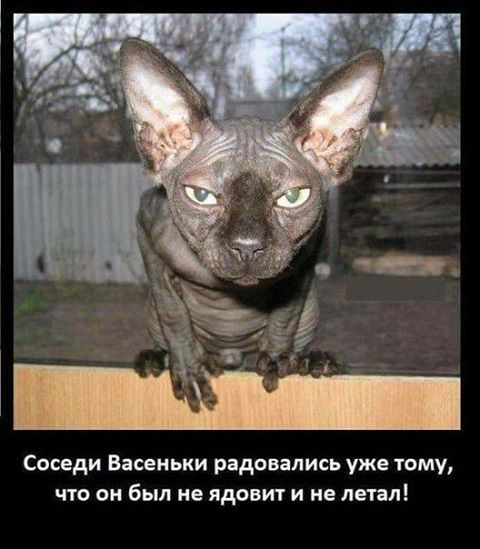 Тупой, местами чёрный юмор. Не для всех!