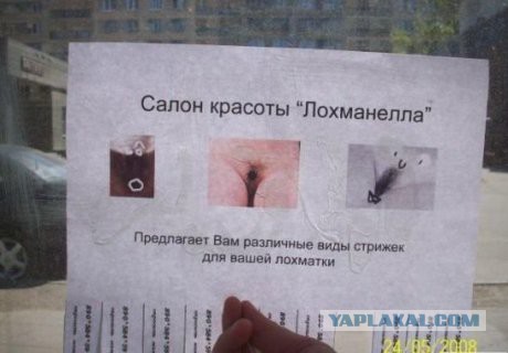 Все друг друга поняли (Смехопанорама)