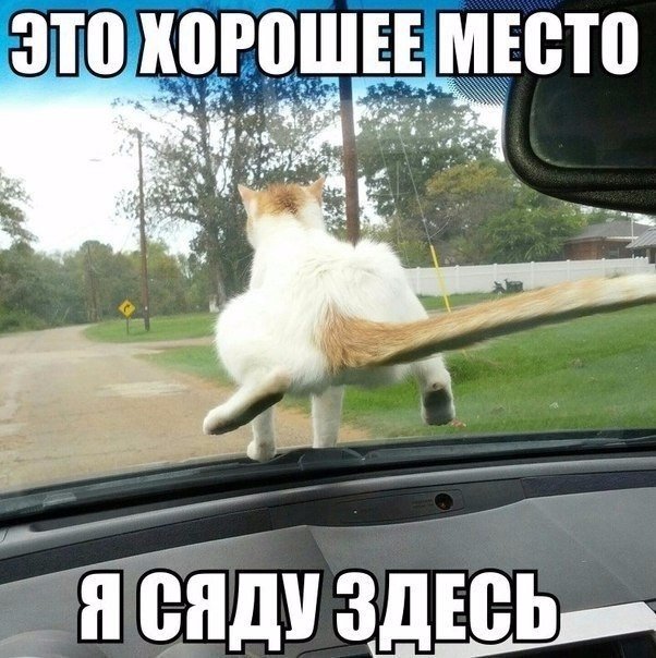 Принципиальный!