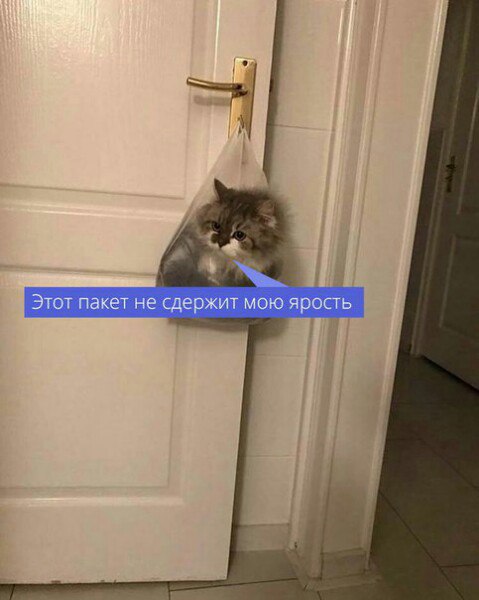 Подсобирал немного картинок .... местами с юмором