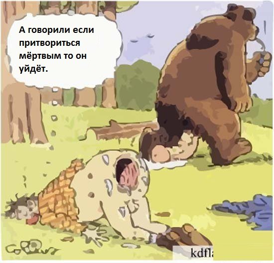 Можно ли убежать от медведя?