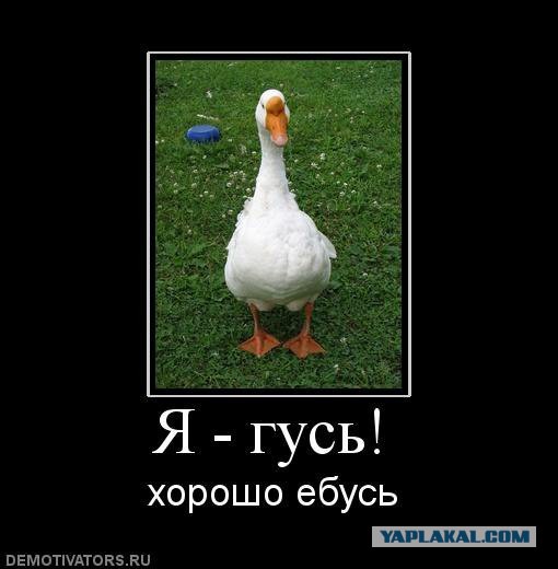 Ну, вот вам реальные реалии, ждущие радугу и бабочек..