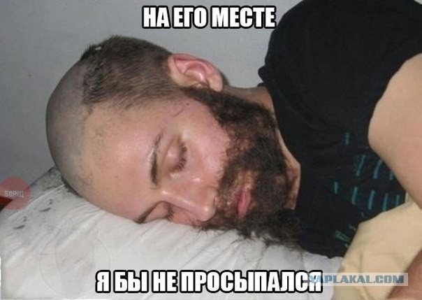 Бросай работать, пошли деградировать!