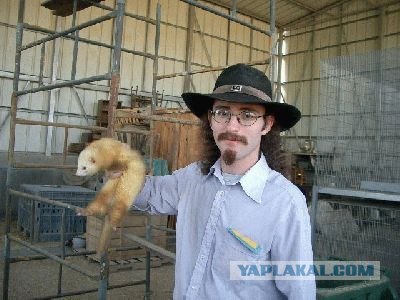 Что это за зверек?