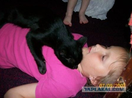 Забыли котовторник? А вот он!