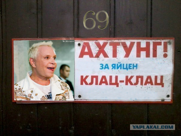 Самые большие собаки