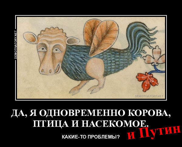 Насобиралось, вот, картинок. Местами с юмором.
