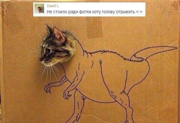 Немного картинок для настроения