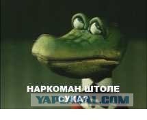 Грибы и секс!