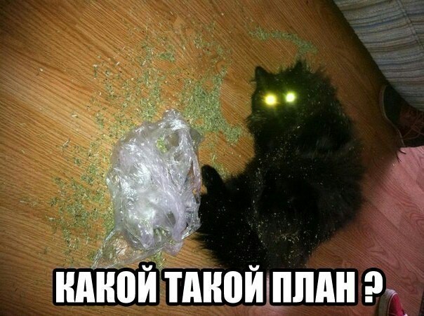 Древние мемы с ВК. Для тех кто забыл #3