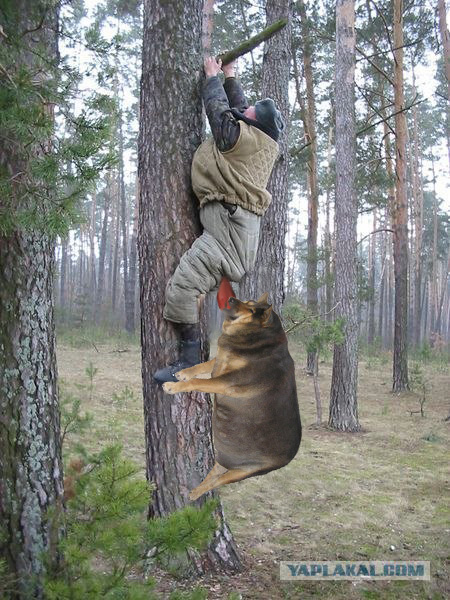 Фотожаба: Охотник и его верный пес