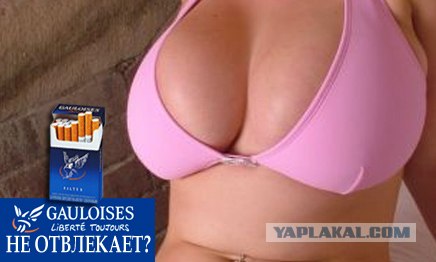 Фотожаба: Один раз - не голуаз?