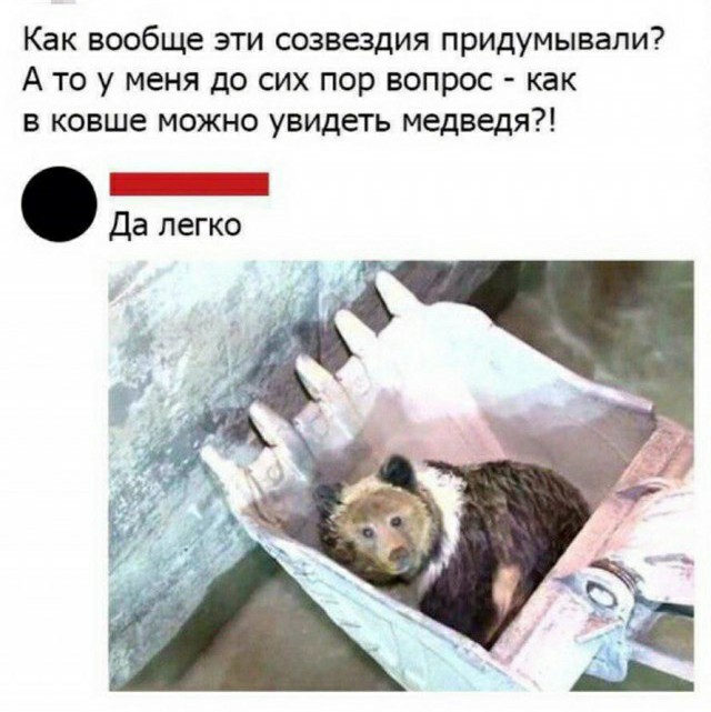 Не очень адекватный юмор 19.08.2020