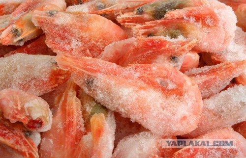 Камрады, что это с нашим, отечественным мясом? Почему из него льется вода?