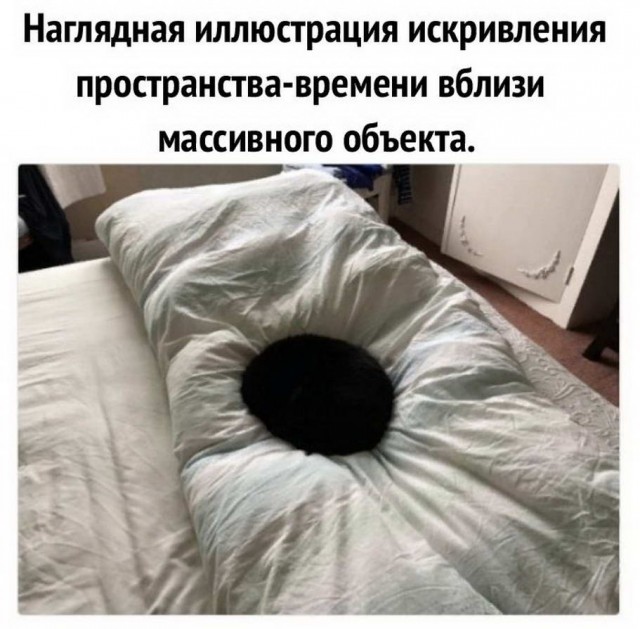 Немного картинок для настроения 29.10.20