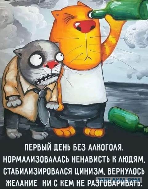 Картинки и мемы для настроения 008